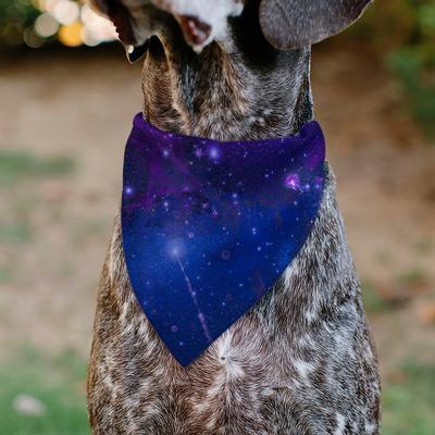 Show full view: Buckle-Down Galaxy Dog Bandana, Blue slide 5 of 6