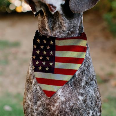 Show full view: Buckle-Down Vintage US Flag Repeat Dog Bandana slide 5 of 6