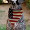 Show in main carousel: Buckle-Down Vintage US Flag Repeat Dog Bandana slide 4 of 6