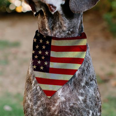 Show full view: Buckle-Down Vintage US Flag Repeat Dog Bandana slide 4 of 6
