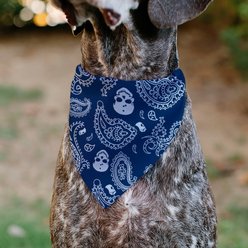 Buckle-Down Bandana Skulls Dog Bandana, Blue & White slide 2 of 7
