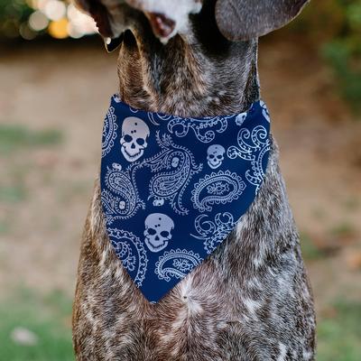 Show full view: Buckle-Down Bandana Skulls Dog Bandana, Blue & White slide 5 of 7