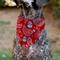 Show in main carousel: Buckle-Down Bandana Skulls Dog Bandana, Red & White slide 5 of 6