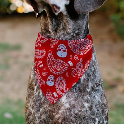 Show full view: Buckle-Down Bandana Skulls Dog Bandana, Red & White slide 5 of 6