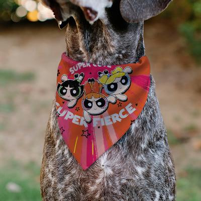Show full view: Buckle-Down Powerpuff Girls Super Cute Super Fierce Group Pose Dog Bandana slide 4 of 6