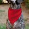Show in main carousel: Buckle-Down Peanuts Snoopy Face & Profile Pose Dog Bandana slide 6 of 7