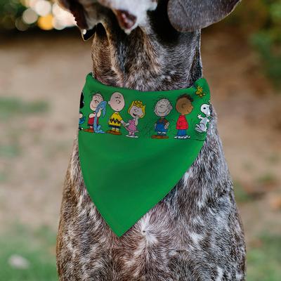 Show full view: Buckle-Down Peanuts Gang Group Pose Dog Bandana slide 4 of 6