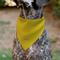 Show in main carousel: Buckle-Down Peanuts Charlie Brown Zig Zag Stripe Dog Bandana slide 6 of 7
