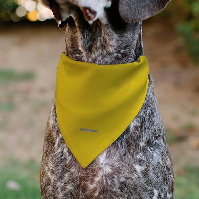 Show full view: Buckle-Down Peanuts Charlie Brown Zig Zag Stripe Dog Bandana slide 6 of 7