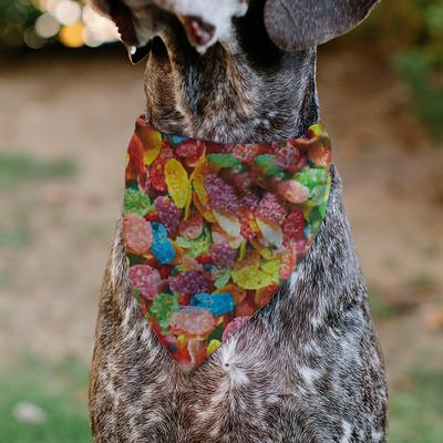 Show full view: Buckle-Down The Flintstones Fruity Pebbles Fred & Barney Rubble Cereal Box Print Dog Bandana slide 5 of 6