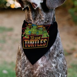 Buckle-Down Teenage Mutant Ninja Turtles Team Turtles Pose Dog Bandana slide 2 of 6
