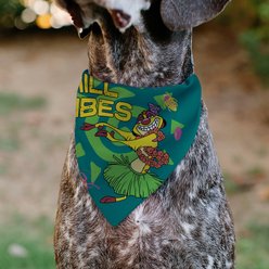 Buckle-Down Disney The Lion King Timon Chill Vibes Hula Pose Dog Bandana slide 2 of 7