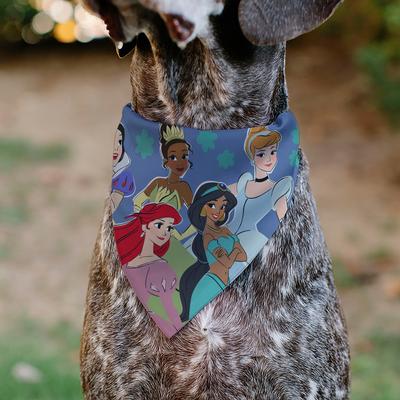 Show full view: Buckle-Down Disney Disney Five Princesses Group Pose & Flowers Dog Bandana slide 4 of 6