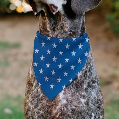 Show full view: Buckle-Down Betty Boop Americana Soldier Salute Pose & Stars Dog Bandana slide 5 of 6