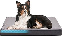 LFC PETS Ultra Comfort Memory Foam Dog & Cat Bed with Removable Cover, Grey, Large