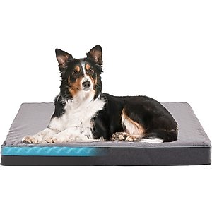 LFC PETS Ultra Comfort Memory Foam Dog & Cat Bed with Removable Cover, Grey, Large