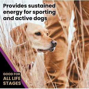 VICTOR Professional Active Sporting Gluten-Free Dry Dog Food, 40-lb bag