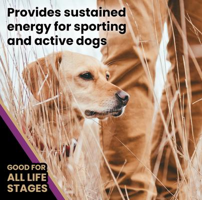 Show full view: VICTOR Professional Active Sporting Gluten-Free Dry Dog Food, 40-lb bag slide 6 of 12