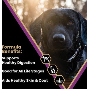 VICTOR Professional Active Sporting Gluten-Free Dry Dog Food, 40-lb bag