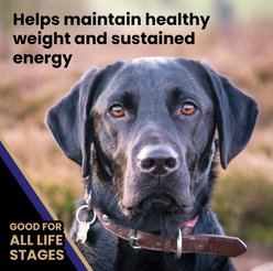 VICTOR Gluten-Free Beef Meal & Brown Rice Dry Dog Food, 40-lb bag slide 2 of 9