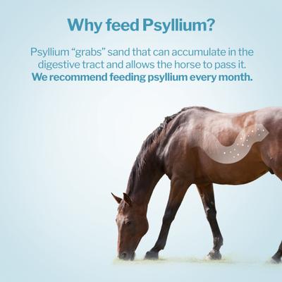 Show full view: Formula 707 Psyllium Horse Supplement, 12-lb Bag slide 2 of 3
