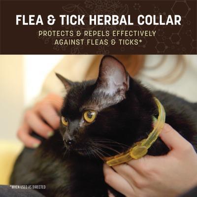 Show full view: Earth Animal Apothecary Natural Flea & Tick Herbal Collar for Cats slide 5 of 7