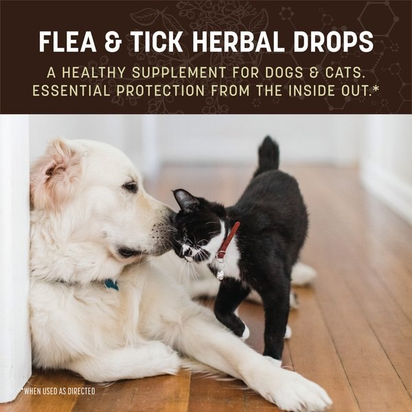 Earth Animal Apothecary Natural Flea & Tick Daily Internal Herbal Drops Oral Supplement for Dogs & Cats, 2-fl oz bottle