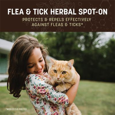 Show full view: Earth Animal Apothecary Natural Flea & Tick Herbal Spot Treatment for Cats, 3 doses (3-mos. supply) slide 5 of 7