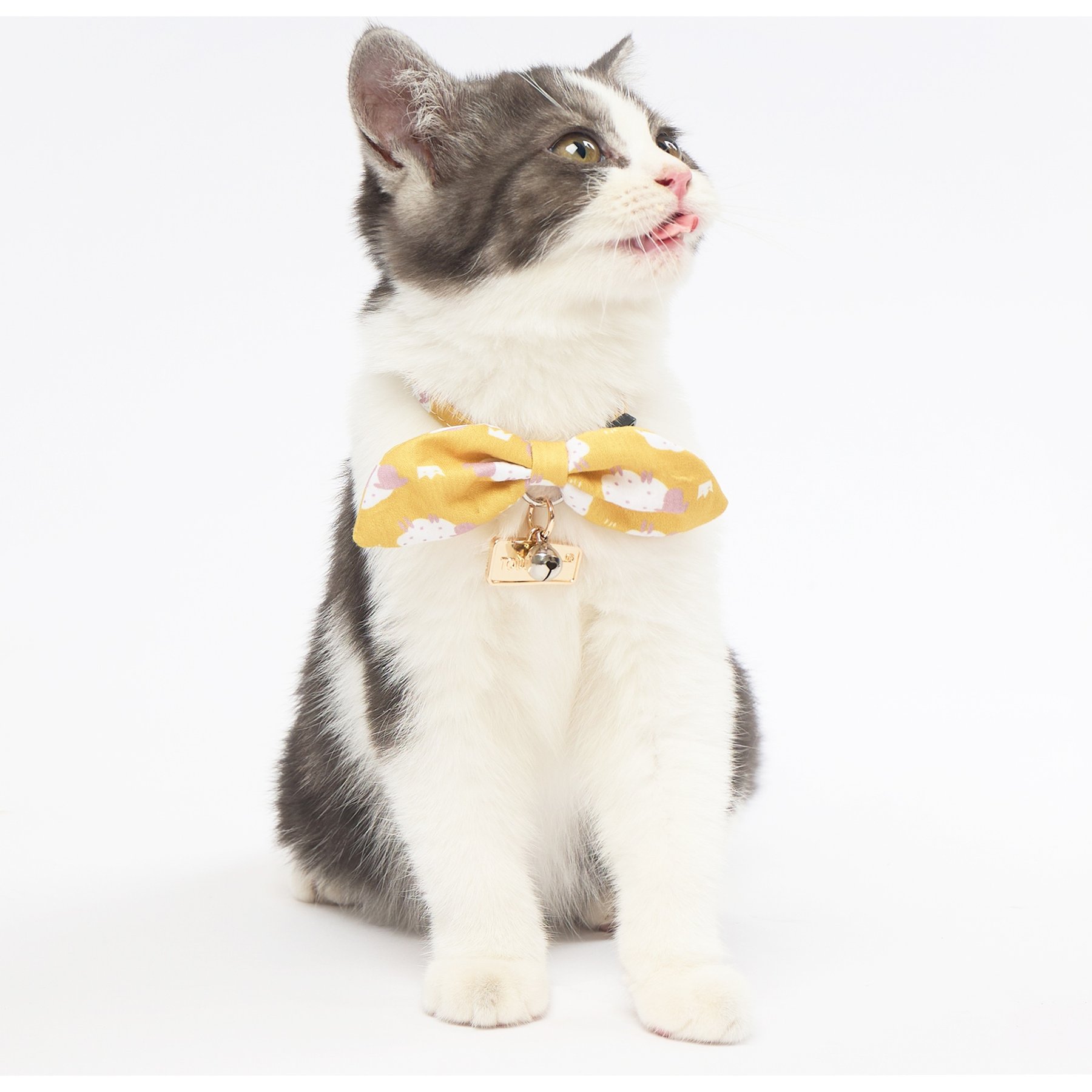 Touchcat Shepherd Polyester Cat Collar with Bow, Yellow, Large: 7.87 to 11.81-in neck, 0.39-in wide