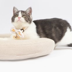 Touchcat Pineapple Polyester Cat Collar with Bow, Yellow, Small: 5.9 to 9-in neck, 0.39-in wide slide 2 of 5