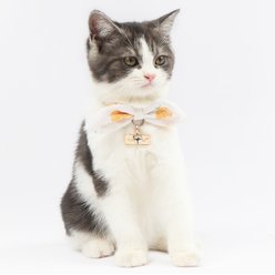 Touchcat Pineapple Polyester Cat Collar with Bow, Yellow, Small: 5.9 to 9-in neck, 0.39-in wide slide 1 of 5