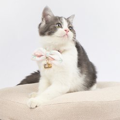 Touchcat Pineapple Polyester Cat Collar with Bow, Pink, Small: 5.9 to 9-in neck, 0.39-in wide slide 2 of 5