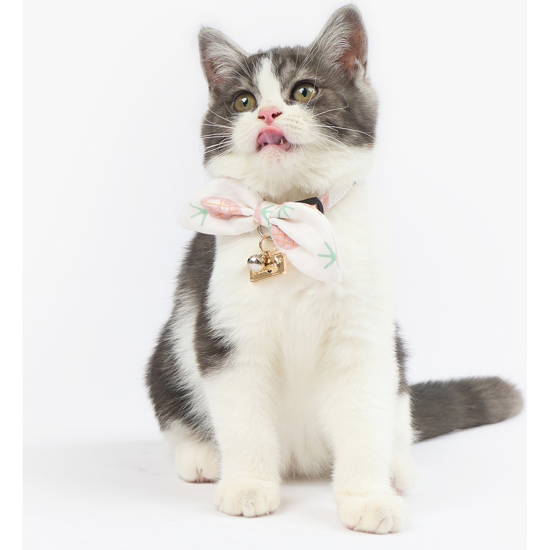 Touchcat Pineapple Polyester Cat Collar with Bow, Pink, Large: 7.87 to 11.81-in neck, 0.39-in wide