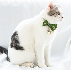 Touchcat Glampurr Elegant Cotton Cat Collar with Bowtie & Bell, Green slide 2 of 4