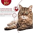 Show in main carousel: Inaba Churu for Senior 10+ Chicken & Tuna Broth Cat Lickable Treats, 1.4-oz pouch, 12 count slide 5 of 9