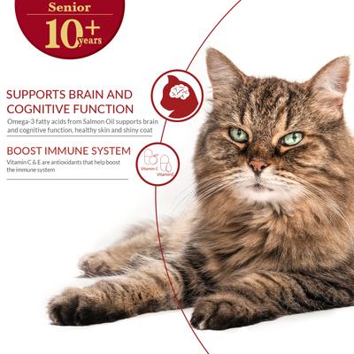 Show full view: Inaba Churu for Senior 10+ Tuna & Salmon Bisque Lickable Cat Treats, 1.4-oz pouch, 12 count slide 6 of 10