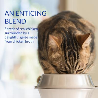 Show full view: Inaba Churu for Senior 10+ Chicken Stew Lickable Cat Treats, 1.4-oz pouch, 12 count slide 6 of 10