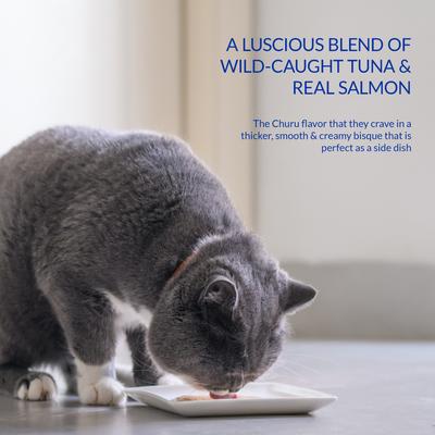 Show full view: Inaba Churu for Senior 10+ Tuna & Salmon Bisque Lickable Cat Treats, 1.4-oz pouch, 12 count slide 4 of 10