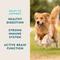 Show in main carousel: VetIQ Hickory Smoke Flavor Soft Chew Multivitamin for Dogs, 60 count slide 3 of 11