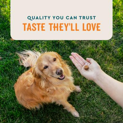 Show full view: VetIQ Skin & Coat Soft Chew Supplement for Dogs, 60 Count slide 6 of 10