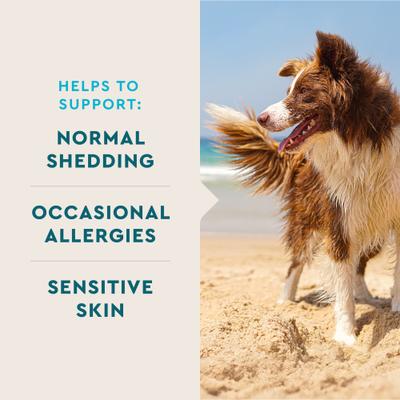 Show full view: VetIQ Skin & Coat Soft Chew Supplement for Dogs, 60 Count slide 3 of 10