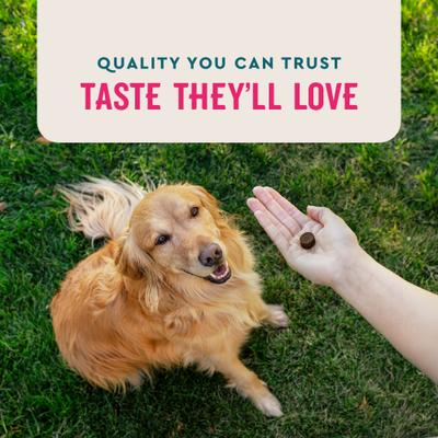 Show full view: VetIQ Hickory Smoke Flavor Soft Chew Multivitamin for Dogs, 60 count slide 6 of 11
