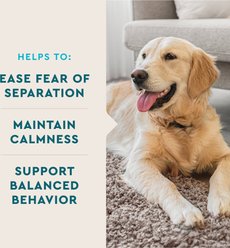VetIQ Calming Soft Chew Calming Supplement for Dogs, 60 count slide 2 of 8