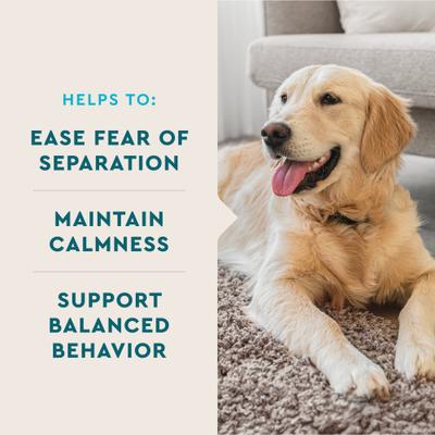 Show full view: VetIQ Calming Soft Chew Calming Supplement for Dogs, 60 count slide 3 of 11