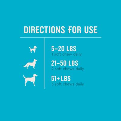 Show full view: VetIQ Advanced Hip & Joint Chicken Flavored Soft Chews Dog Supplement, 60 count bag slide 5 of 10
