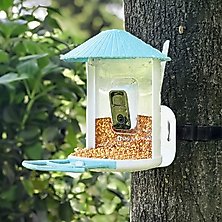 Smart Feeders