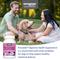 Show in main carousel: Nutramax Proviable Probiotics Daily Digestive Health Chewable Tablet Supplement for Dogs, 60 count slide 4 of 12