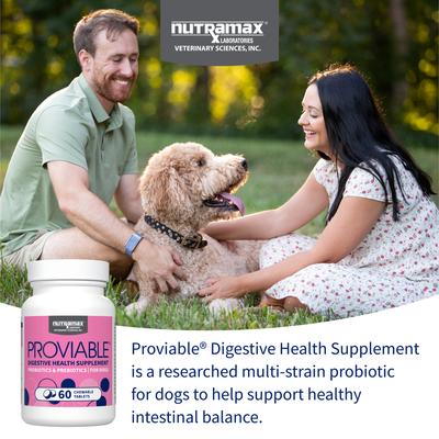 Show full view: Nutramax Proviable Probiotics Daily Digestive Health Chewable Tablet Supplement for Dogs, 60 count slide 4 of 12