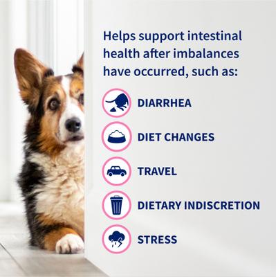 Show full view: Nutramax Proviable Probiotics Daily Digestive Health Chewable Tablet Supplement for Dogs, 60 count slide 6 of 12