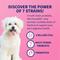 Show in main carousel: Nutramax Proviable Probiotics Daily Digestive Health Chewable Tablet Supplement for Dogs, 60 count slide 5 of 12